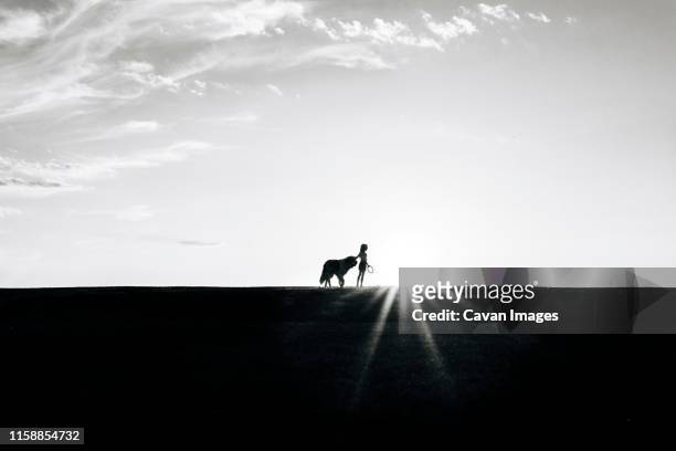 little girl watches sunset with saint bernard dog overlooking missouri river in bismarck north dakota - prairie dog 個照片及圖片檔