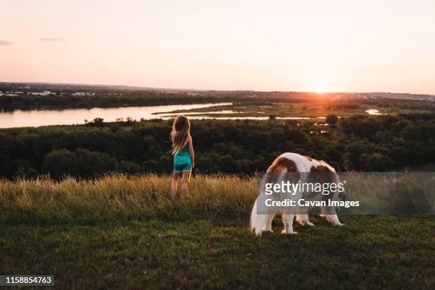 little girl watches sunset with saint bernard dog overlooking missouri river in bismarck north dakota - river missouri stock pictures, royalty-free photos & images