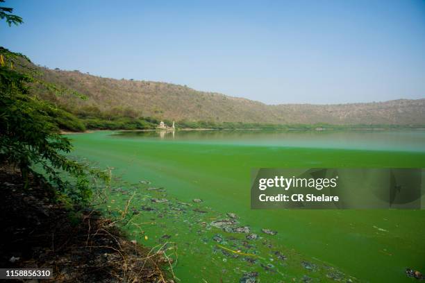 lonar lake or lonar crater,  maharashtra, india. - maharashtra stockfoto's en -beelden