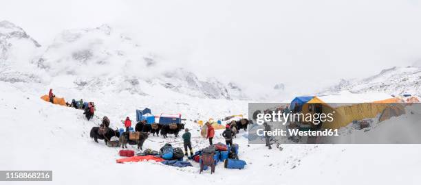 nepal, solo khumbu, mountaineers at everest base camp - basislager stock-fotos und bilder