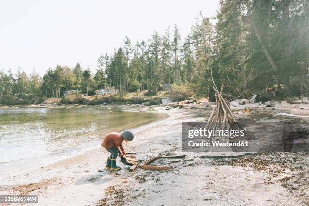 boy playing on a the beach, building a drift wood fort - driftwood foto e immagini stock