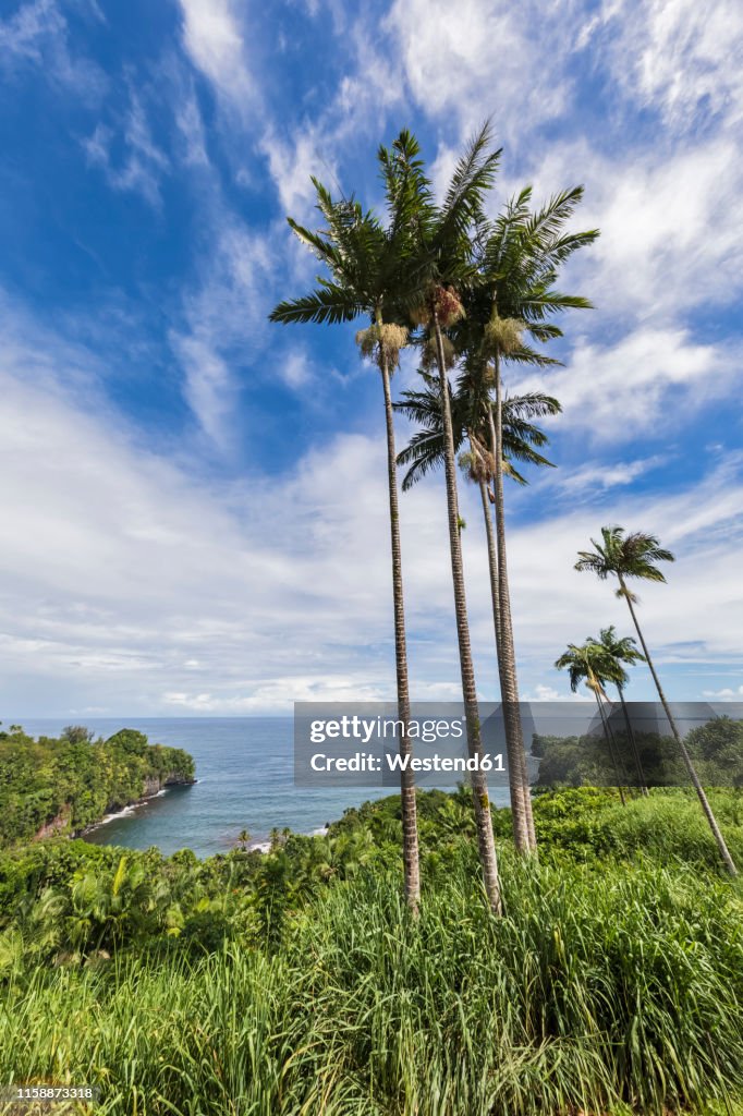 USA, Hawaii, Big Island, Onomea Bay