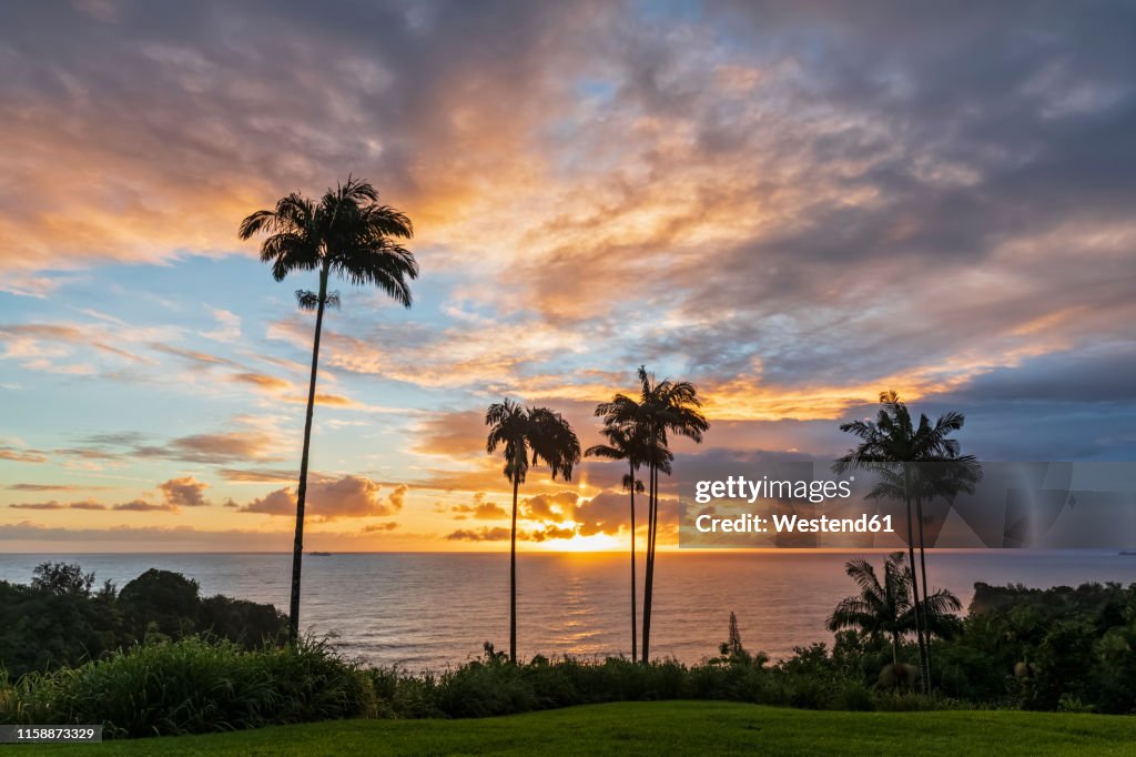 USA, Hawaii, Big Island, Onomea Bay at sunset