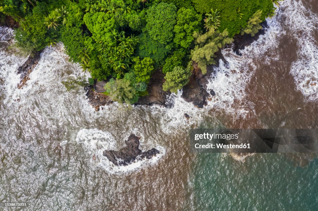 USA, Hawaii, Big Island, Onomea Bay, Aerial view