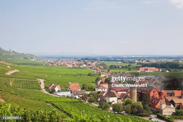 france, alsace, kaysersberg, vineyards - kaysersberg - fotografias e filmes do acervo