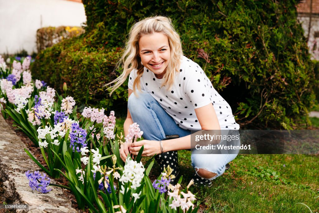 Young blonde woman controls hyacinths in her garden