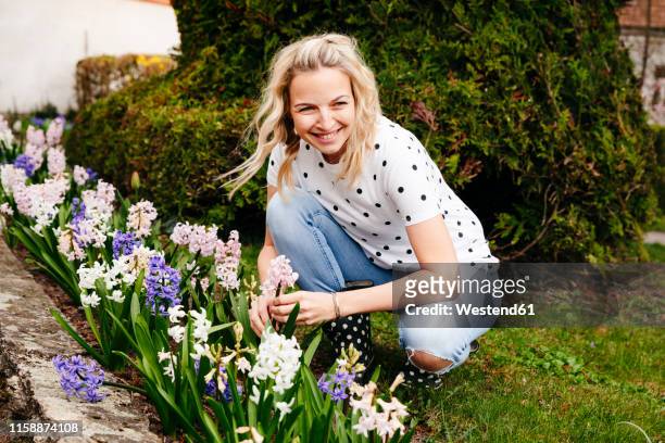 young blonde woman controls hyacinths in her garden - frühling stock-fotos und bilder