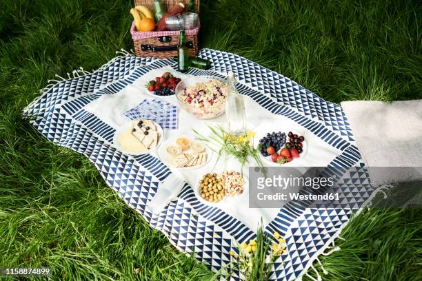 healthy picnic snacks on a blanket in grass - picnic blanket stockfoto's en -beelden