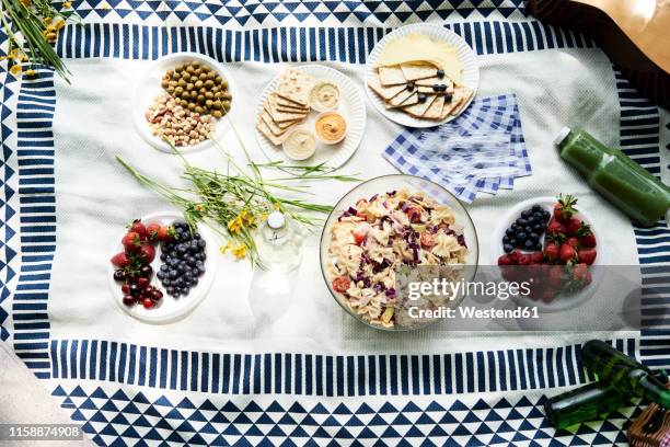 top view of healthy picnic snacks on a blanket - picnic blanket stockfoto's en -beelden