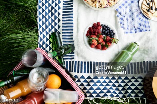 top view of healthy picnic snacks on a blanket - レジャーシート ストックフォトと画像