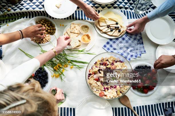 top view of women having a picnic in park - cheese salad bildbanksfoton och bilder