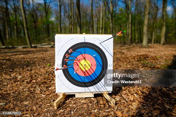 target with arrows - archery target stock pictures, royalty-free photos & images