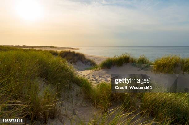 germany, sylt, north sea, sunset - ellenbogen stock pictures, royalty-free photos & images