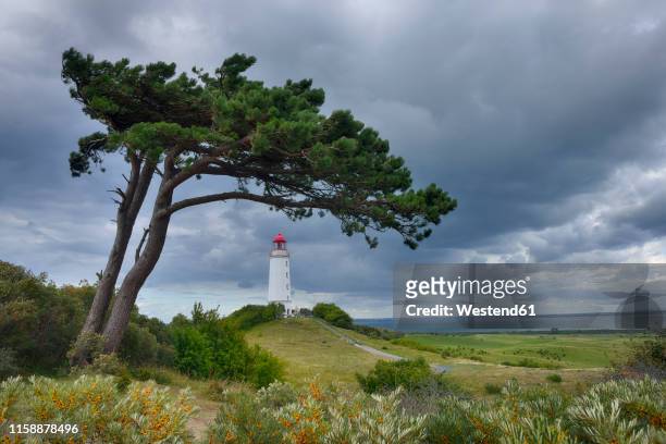 germany, mecklenburg-western pomerania, hiddensee island, dornbusch lighthouse and pine tree with cloudy sky - hiddensee photos et images de collection