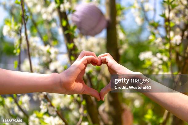 two children shaping heart with their hands in garden - moulding a shape stock pictures, royalty-free photos & images