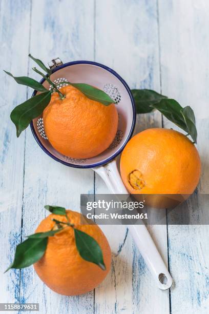 three oranges with leaves and a colander on wood - ネーブルオレンジ ストックフォトと画像