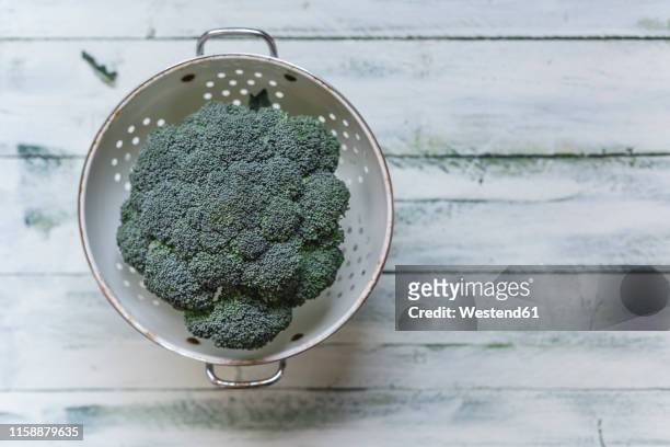 brokkoli in colander - brokkoli fotografías e imágenes de stock