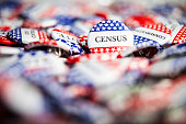 Political Button - Census