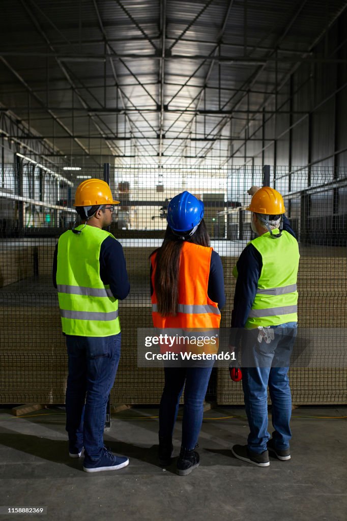 Field Worker Rear View Rear View Of Workers Standing At Grid In Factory High-Res Stock Photo ...