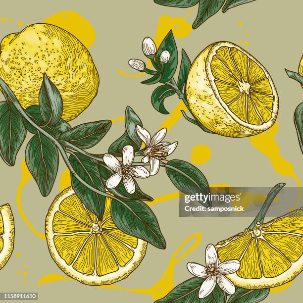 illustrazioni stock, clip art, cartoni animati e icone di tendenza di vintage limone agrumi fiore motivo senza soluzione di continuità - albero di limone