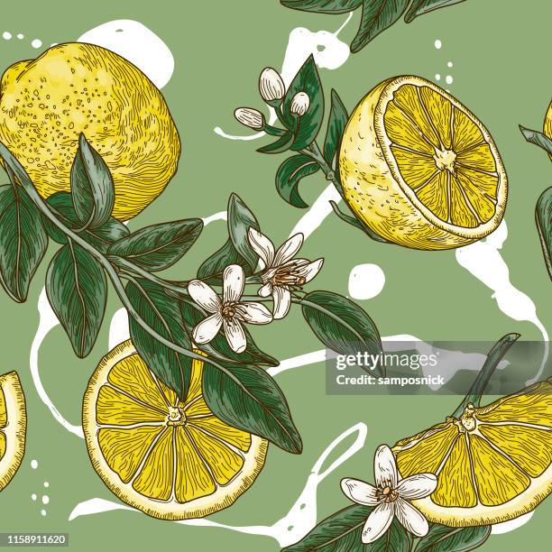 ilustrações, clipart, desenhos animados e ícones de teste padrão sem emenda da flor do citrino do vintage - cidra frutas cítricas