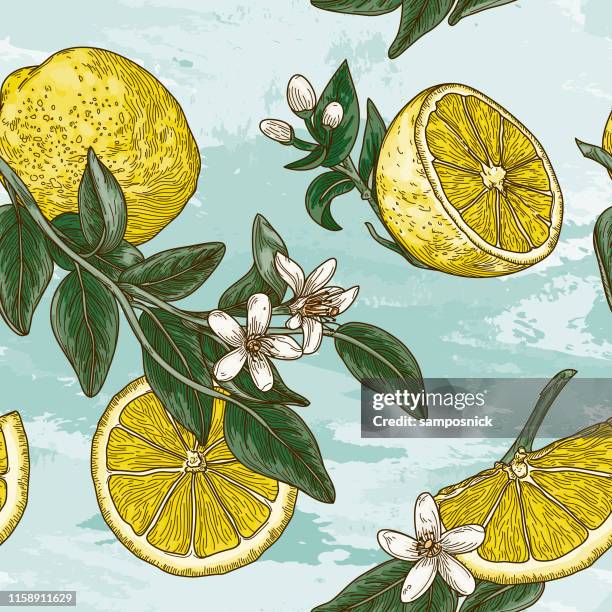 vintage lemon citrus blossom seamless pattern - lemon tree stock illustrations