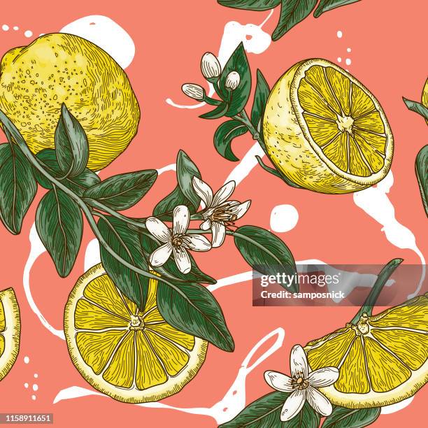 vintage lemon citrus blossom seamless pattern - lemon tree stock illustrations