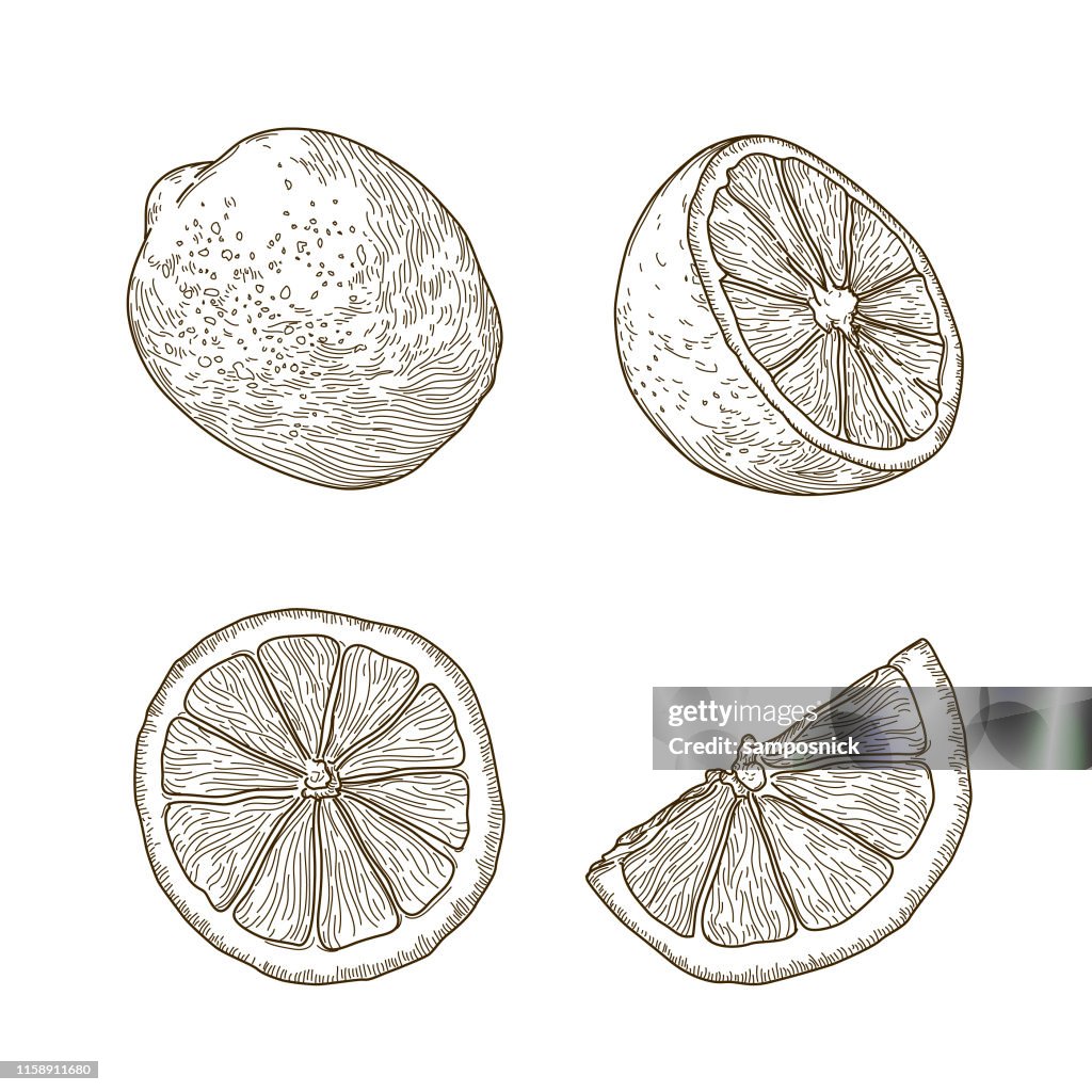 Vintage line art citroen set