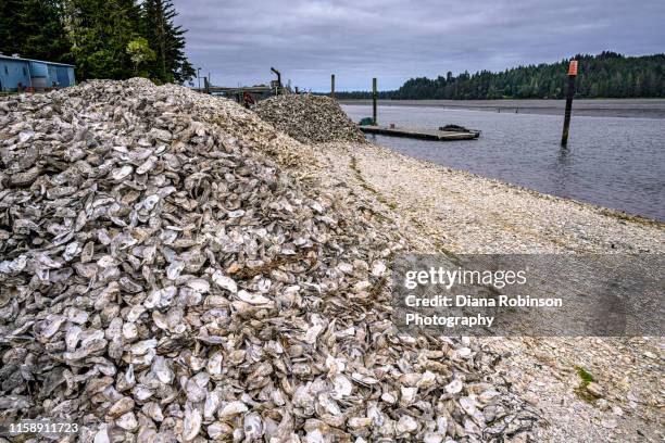 Discarded Shells 337 Pile Of Oyster Stock Photos, High-Res Pictures, and Images - Getty ...
