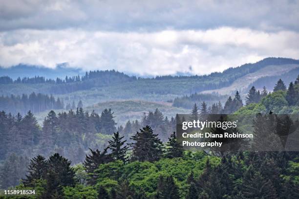 rain clouds over hiking trail at nestucca bay national wildlife refuge near cloverdale, oregon - costa de oregon imagens e fotografias de stock