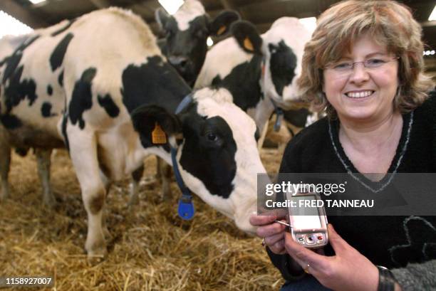 Agricultrice Elisabeth Bidault pose dans son exploitation le 10 décembre 2007 à Saint-Donan. Consulter la "carte vitale" d'une vache sur téléphone...