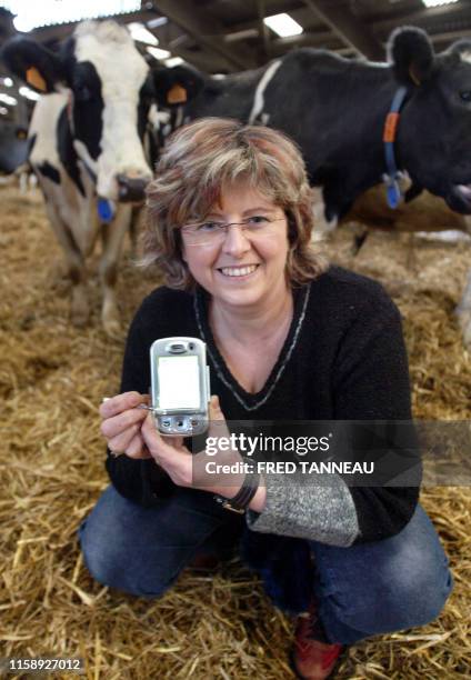 Agricultrice Elisabeth Bidault pose dans son exploitation le 10 décembre 2007 à Saint-Donan. Consulter la "carte vitale" d'une vache sur téléphone...