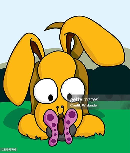 puppy with butterfly - dog looking down stock illustrations
