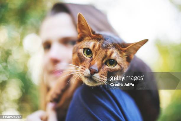 young woman playing with cat - summer pets stock pictures, royalty-free photos & images