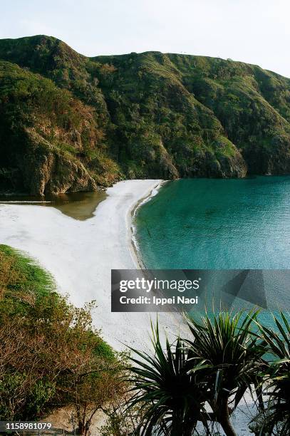 tropical beach on chichijima island of ogasawara islands, tokyo, japan - chichijima stock pictures, royalty-free photos & images