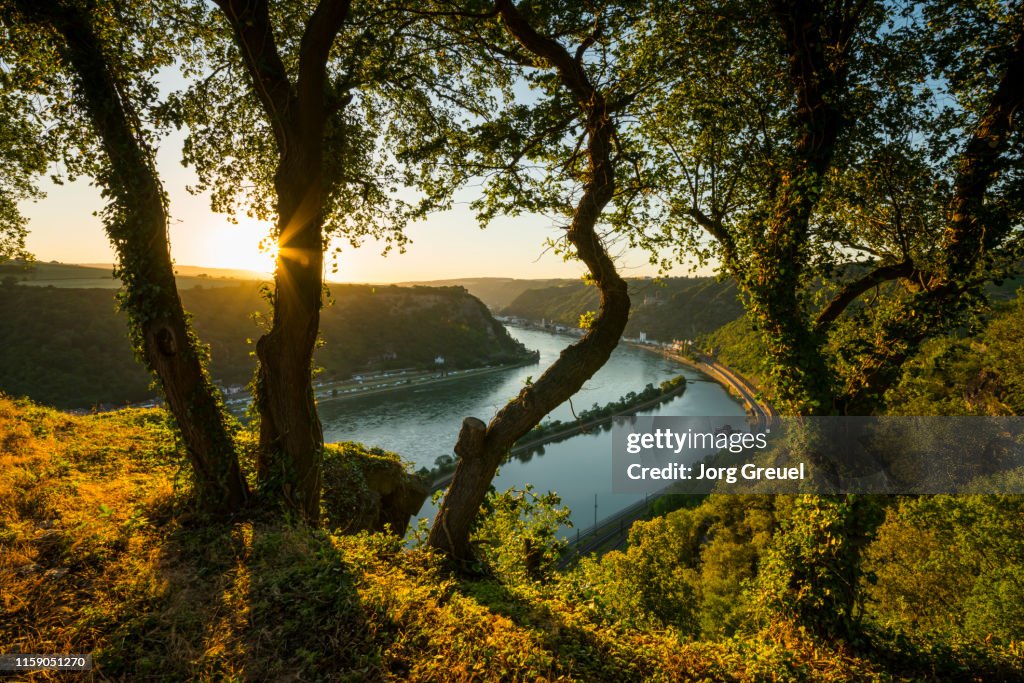 Rhine river at sunset