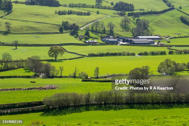 beautiful shropshire countryside on a sunny spring day - shropshire stockfoto's en -beelden