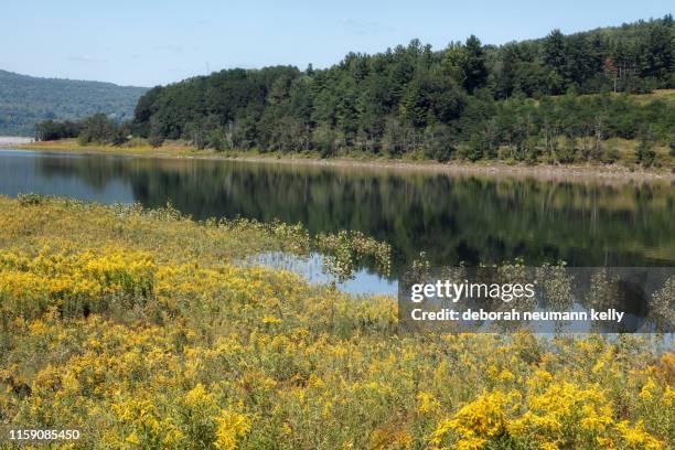 Mine Kill State Park Photos and Premium High Res Pictures Getty Images