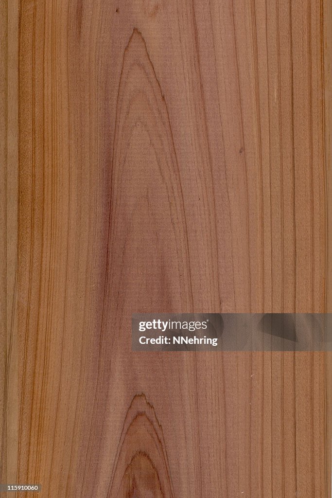 Western red cedar Holz, Thuja plicata