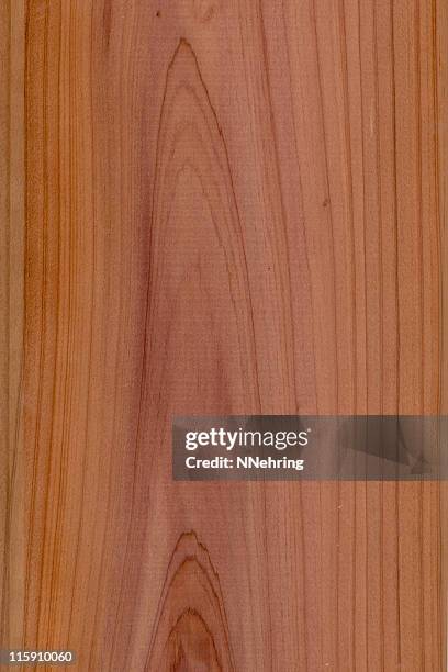 cedro rojo occidental madera, thuja plicata - cedro rojo occidental fotografías e imágenes de stock
