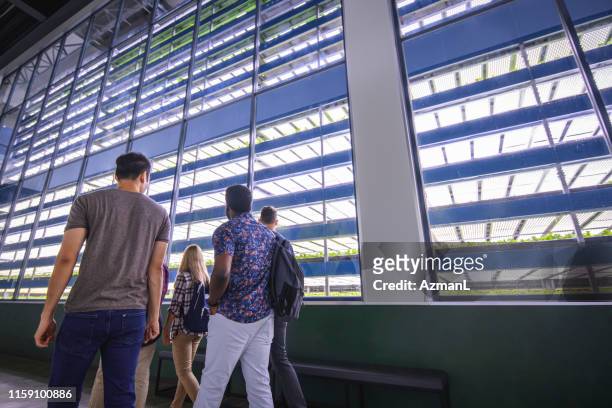visitors at indoor garden viewing floor to ceiling crops - business appearance stock pictures, royalty-free photos & images