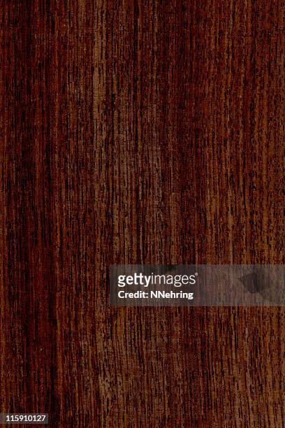 indian rosewood, dalbergia latifolia - rosewood stock pictures, royalty-free photos & images