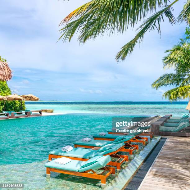 tanning beds neben schwimmbad in tropical resort auf den malediven - man on the beach relaxing in deckchair stock-fotos und bilder