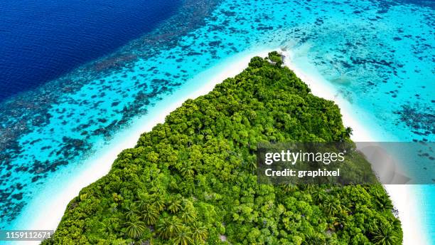 ile tropicale dans l'océan - lagon photos et images de collection