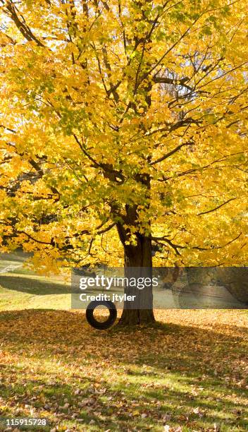 end of the season - tire swing stock pictures, royalty-free photos & images