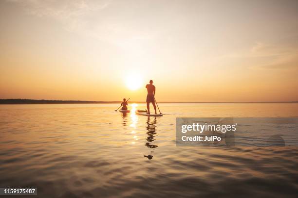 ung vuxen kvinna paddla ombordstigning - surfers in the sea at sunset bildbanksfoton och bilder