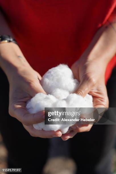 woman holding cotton - wattebausch stock-fotos und bilder