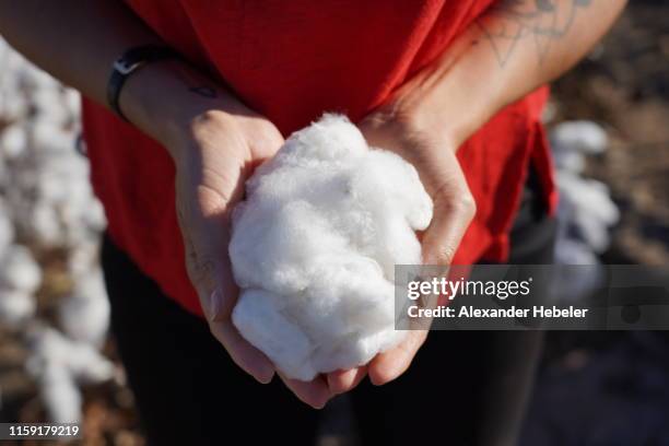 woman holding cotton - coton tige photos et images de collection