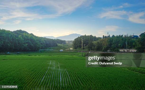 agriculture village in saga , japan - satoyama scenery stock-fotos und bilder