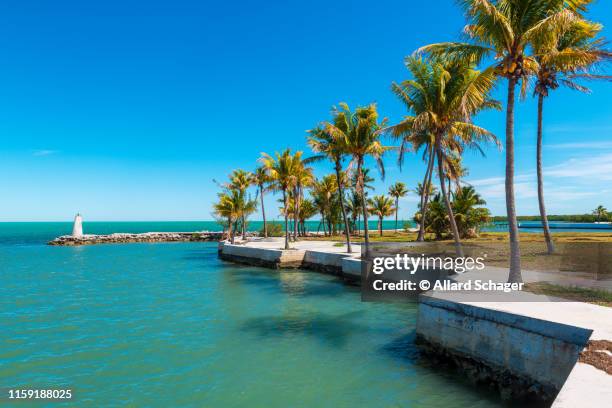 small bay in marathon florida keys - la marathon - fotografias e filmes do acervo